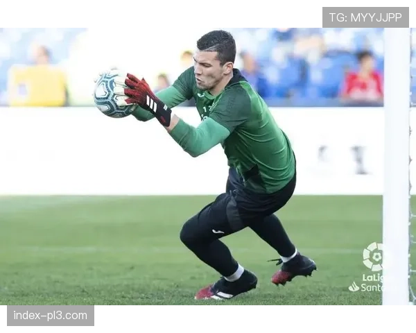 索里亚零封场次达4场，赫塔费门将成防线最后保障